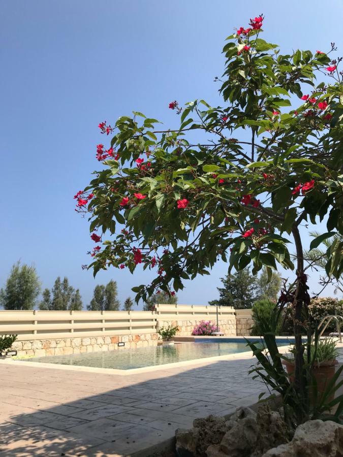 ארגאקה Savvas Villa מראה חיצוני תמונה